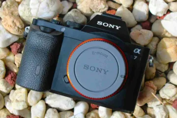 best mirrorless cameras under 60000