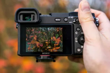 best mirrorless cameras under 50000
