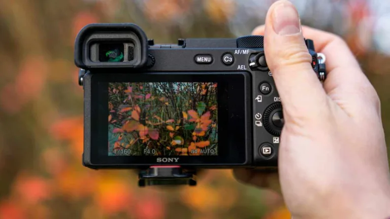 best mirrorless cameras under 50000