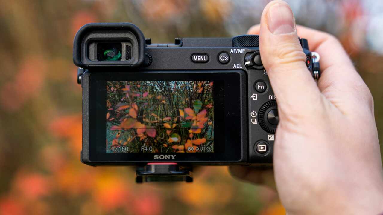 best mirrorless cameras under 50000